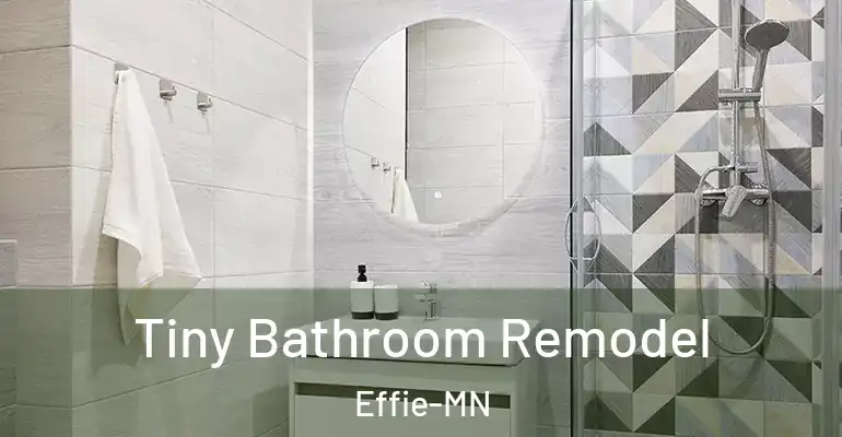 inner Bathroom imggen Tiny Bathroom Remodel Effie-MN