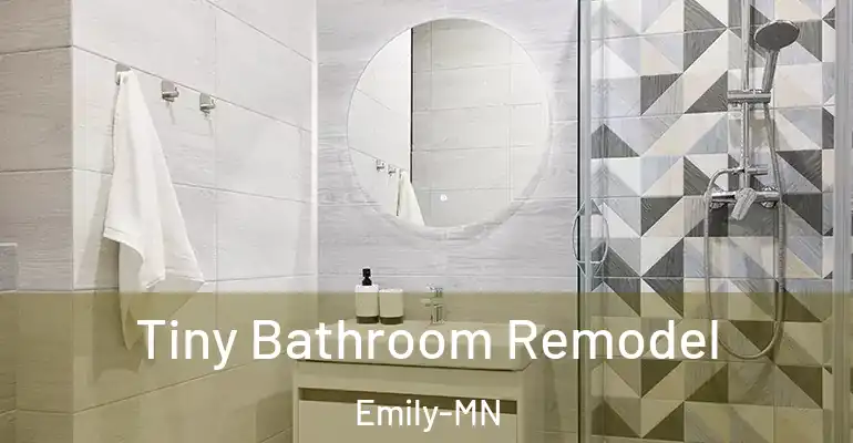 inner Bathroom imggen Tiny Bathroom Remodel Emily-MN