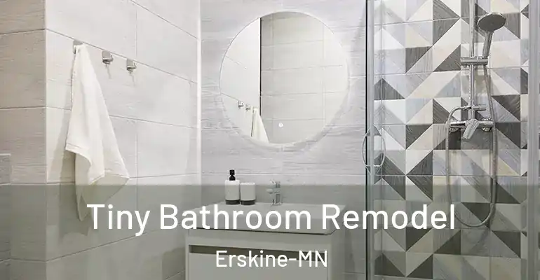 inner Bathroom imggen Tiny Bathroom Remodel Erskine-MN