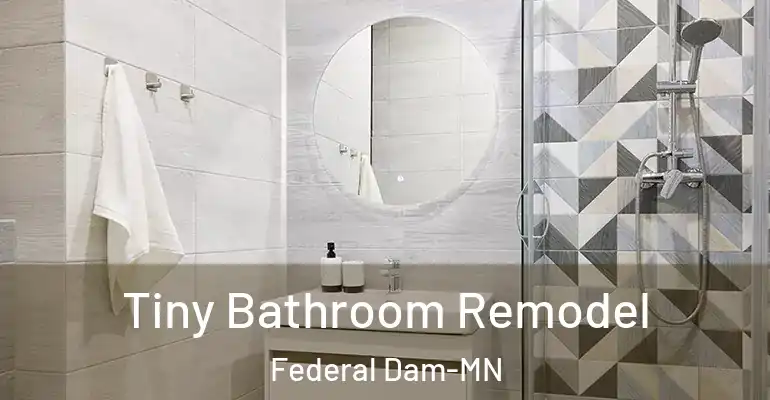 inner Bathroom imggen Tiny Bathroom Remodel Federal Dam-MN