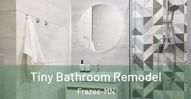 inner Bathroom imggen Tiny Bathroom Remodel Frazee-MN