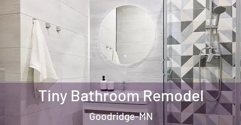 inner Bathroom imggen Tiny Bathroom Remodel Goodridge-MN
