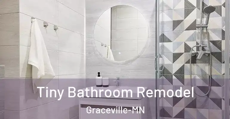 inner Bathroom imggen Tiny Bathroom Remodel Graceville-MN