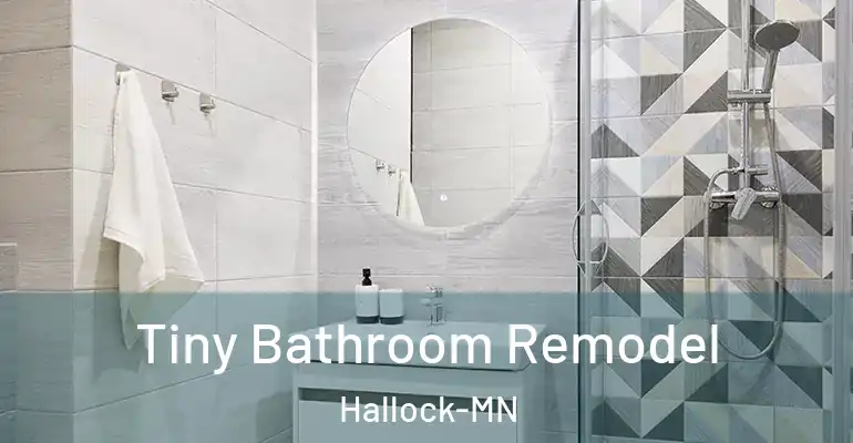 inner Bathroom imggen Tiny Bathroom Remodel Hallock-MN