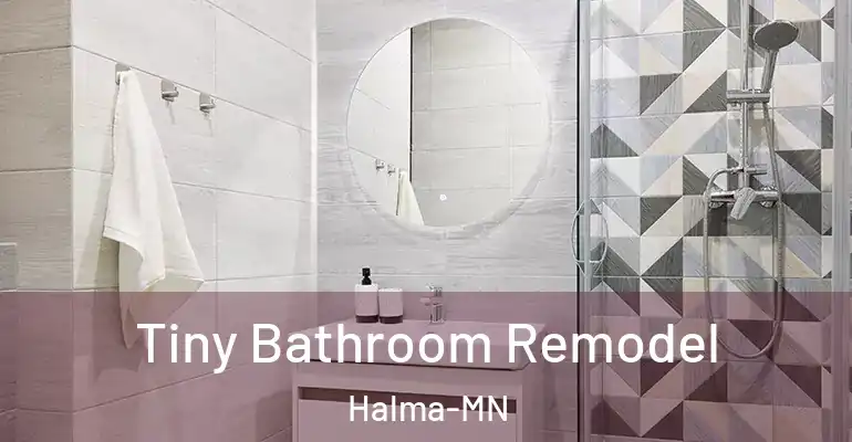 inner Bathroom imggen Tiny Bathroom Remodel Halma-MN