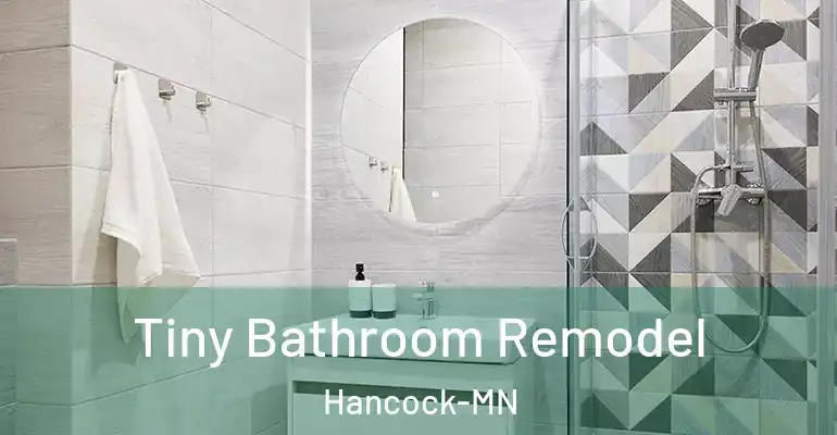 inner Bathroom imggen Tiny Bathroom Remodel Hancock-MN