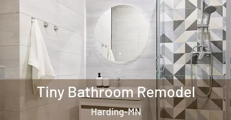 inner Bathroom imggen Tiny Bathroom Remodel Harding-MN