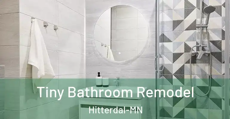 inner Bathroom imggen Tiny Bathroom Remodel Hitterdal-MN