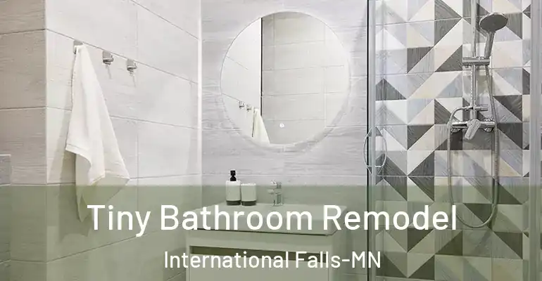 inner Bathroom imggen Tiny Bathroom Remodel International Falls-MN