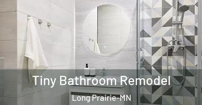 inner Bathroom imggen Tiny Bathroom Remodel Long Prairie-MN