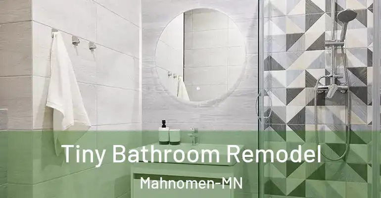 inner Bathroom imggen Tiny Bathroom Remodel Mahnomen-MN