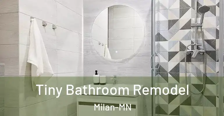 inner Bathroom imggen Tiny Bathroom Remodel Milan-MN