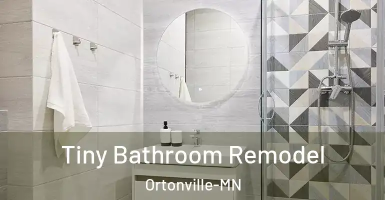 inner Bathroom imggen Tiny Bathroom Remodel Ortonville-MN