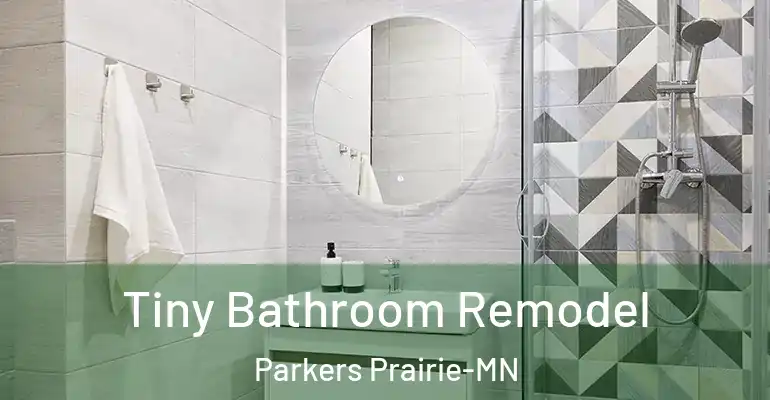 inner Bathroom imggen Tiny Bathroom Remodel Parkers Prairie-MN