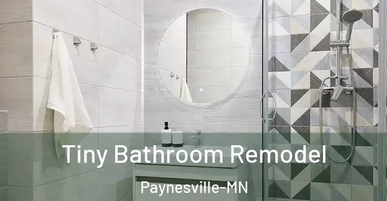 inner Bathroom imggen Tiny Bathroom Remodel Paynesville-MN
