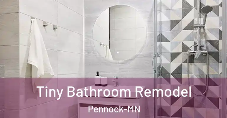 inner Bathroom imggen Tiny Bathroom Remodel Pennock-MN