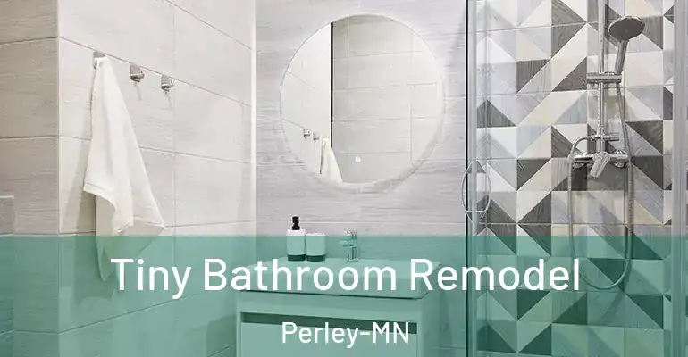 inner Bathroom imggen Tiny Bathroom Remodel Perley-MN