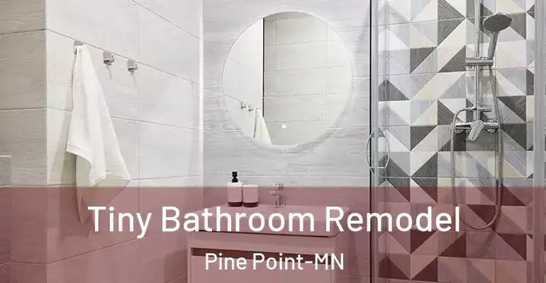 inner Bathroom imggen Tiny Bathroom Remodel Pine Point-MN
