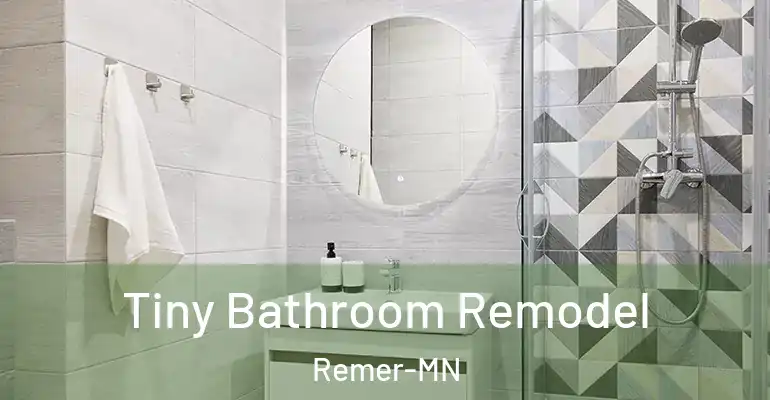 inner Bathroom imggen Tiny Bathroom Remodel Remer-MN