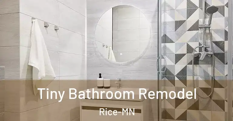 inner Bathroom imggen Tiny Bathroom Remodel Rice-MN