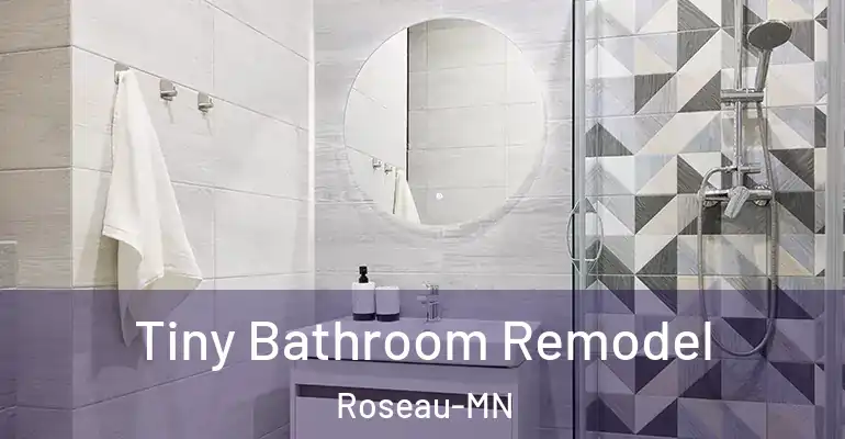 inner Bathroom imggen Tiny Bathroom Remodel Roseau-MN