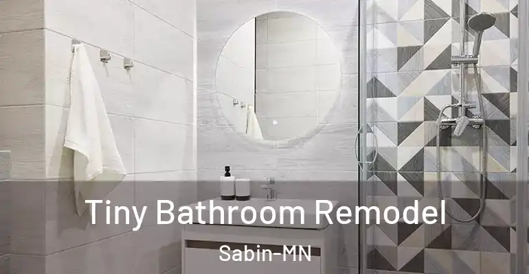 inner Bathroom imggen Tiny Bathroom Remodel Sabin-MN