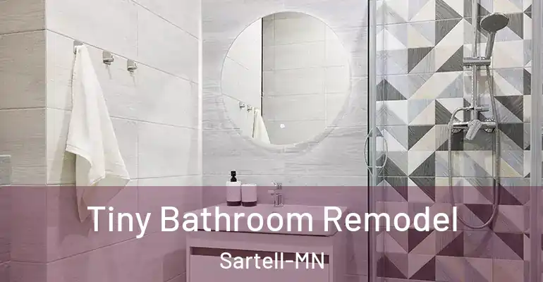 inner Bathroom imggen Tiny Bathroom Remodel Sartell-MN