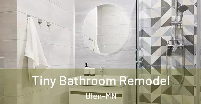 inner Bathroom imggen Tiny Bathroom Remodel Ulen-MN