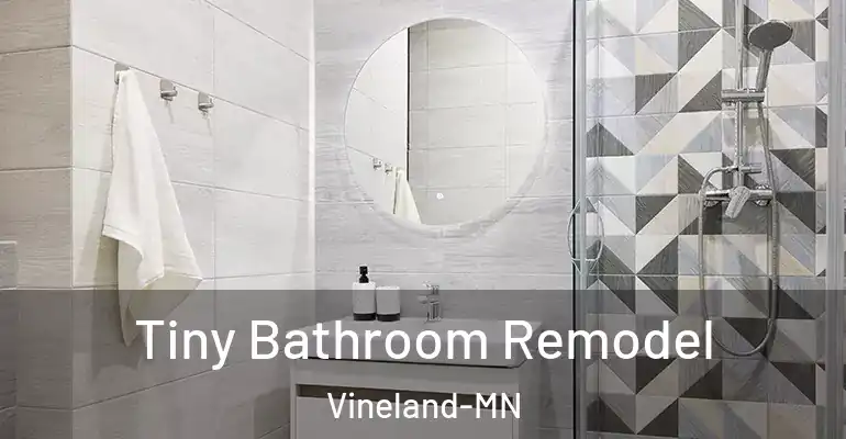 inner Bathroom imggen Tiny Bathroom Remodel Vineland-MN