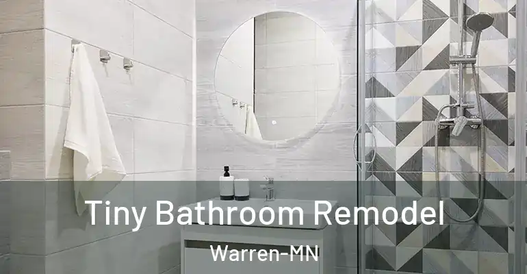 inner Bathroom imggen Tiny Bathroom Remodel Warren-MN
