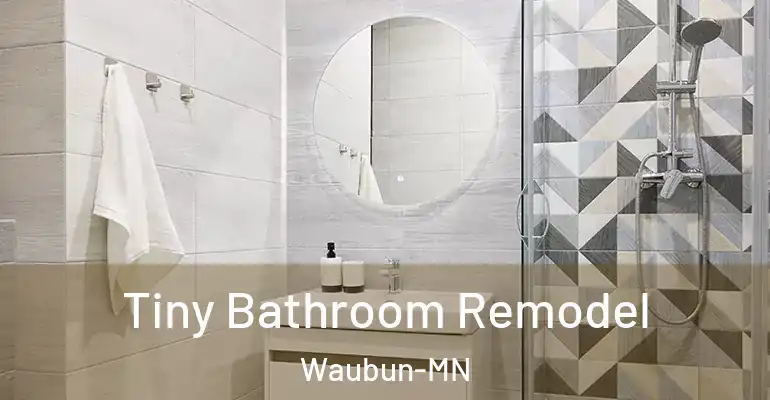 inner Bathroom imggen Tiny Bathroom Remodel Waubun-MN