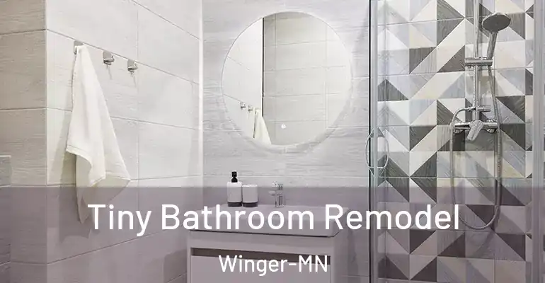 inner Bathroom imggen Tiny Bathroom Remodel Winger-MN