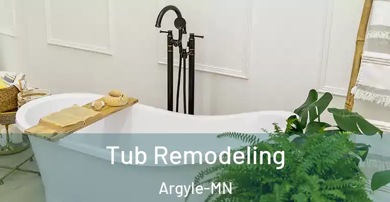inner Bathroom imggen Tub Remodeling Argyle-MN