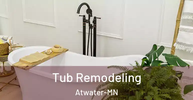 inner Bathroom imggen Tub Remodeling Atwater-MN