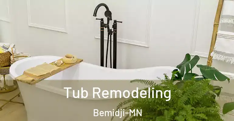 inner Bathroom imggen Tub Remodeling Bemidji-MN