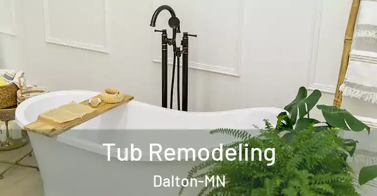inner Bathroom imggen Tub Remodeling Dalton-MN
