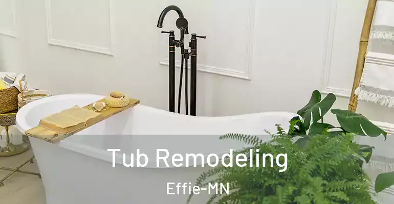 inner Bathroom imggen Tub Remodeling Effie-MN