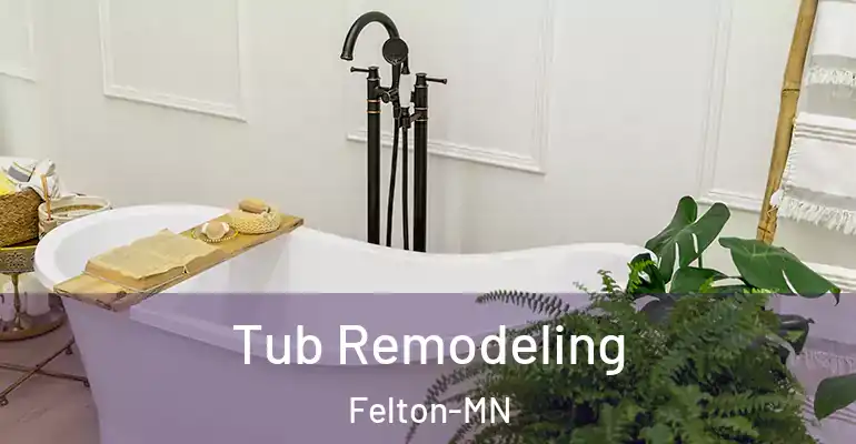 inner Bathroom imggen Tub Remodeling Felton-MN