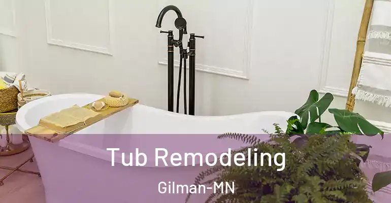 inner Bathroom imggen Tub Remodeling Gilman-MN