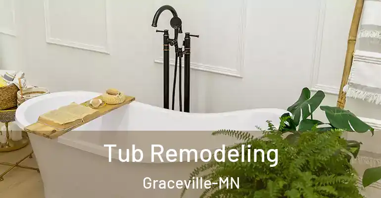 inner Bathroom imggen Tub Remodeling Graceville-MN