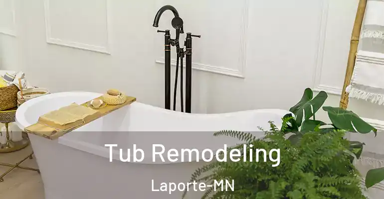 inner Bathroom imggen Tub Remodeling Laporte-MN