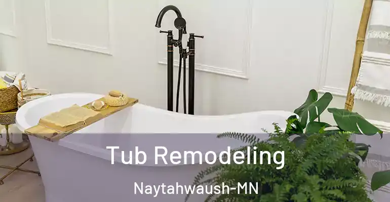 inner Bathroom imggen Tub Remodeling Naytahwaush-MN