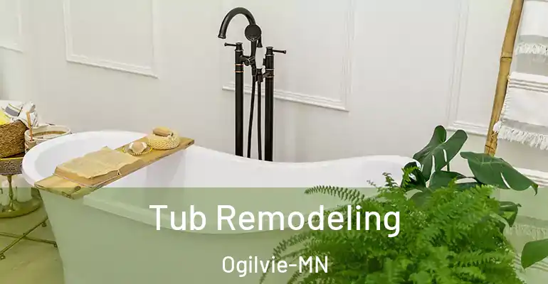 inner Bathroom imggen Tub Remodeling Ogilvie-MN