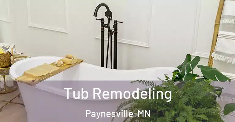 inner Bathroom imggen Tub Remodeling Paynesville-MN