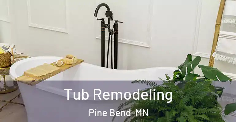inner Bathroom imggen Tub Remodeling Pine Bend-MN