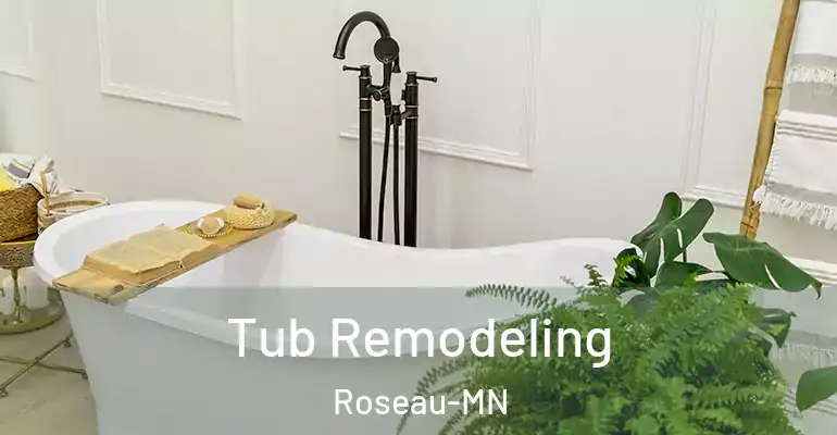inner Bathroom imggen Tub Remodeling Roseau-MN