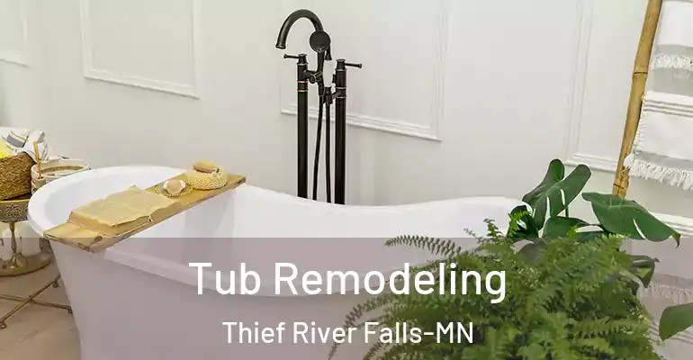 inner Bathroom imggen Tub Remodeling Thief River Falls-MN