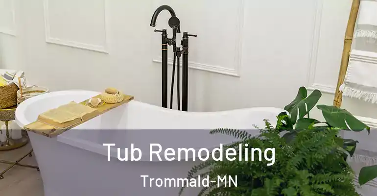 inner Bathroom imggen Tub Remodeling Trommald-MN