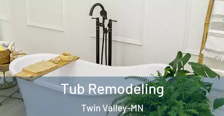 inner Bathroom imggen Tub Remodeling Twin Valley-MN