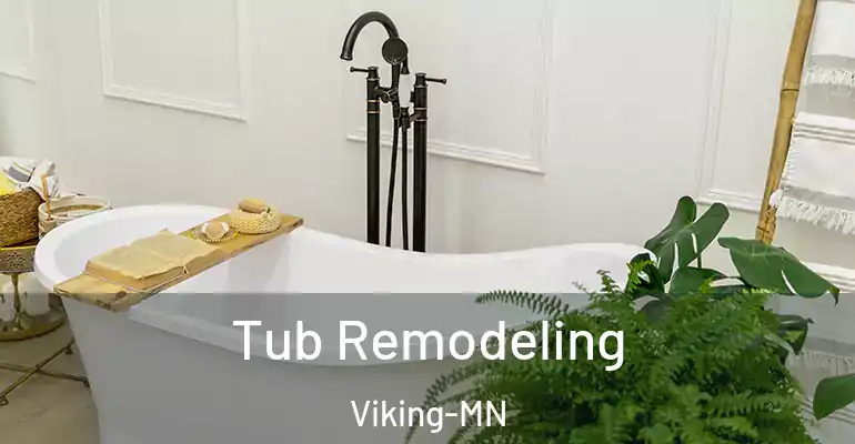 inner Bathroom imggen Tub Remodeling Viking-MN